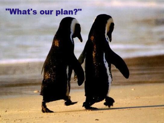 Whats your long term care plan